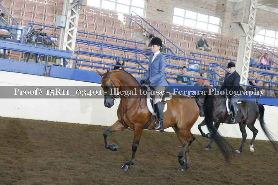 Proof Number 15R11_03401