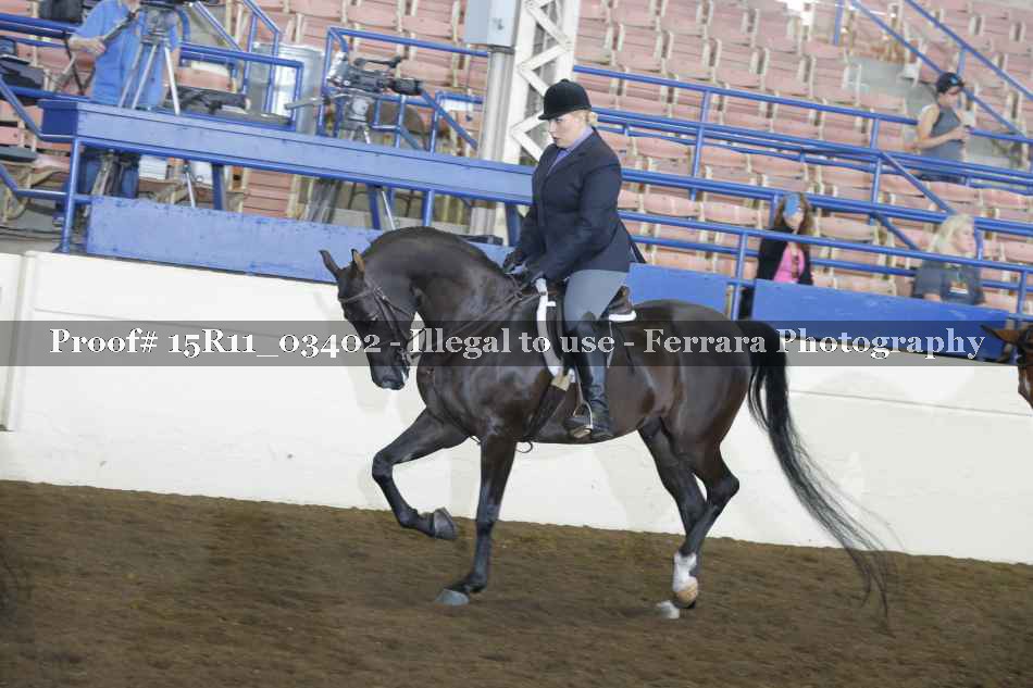 Proof Number 15R11_03402