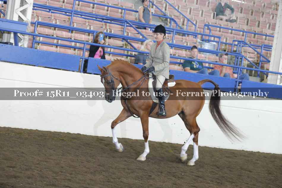 Proof Number 15R11_03403