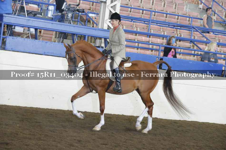 Proof Number 15R11_03404