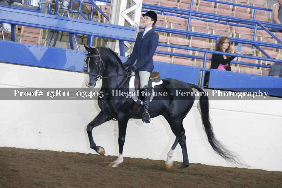 Proof Number 15R11_03405