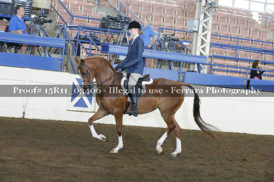Proof Number 15R11_03406
