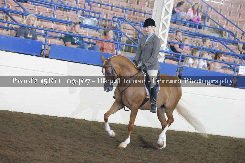 Proof Number 15R11_03407