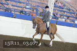 15R11_03407 thumbnail