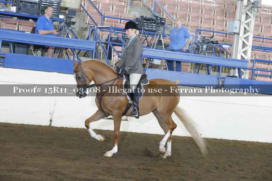 Proof Number 15R11_03408