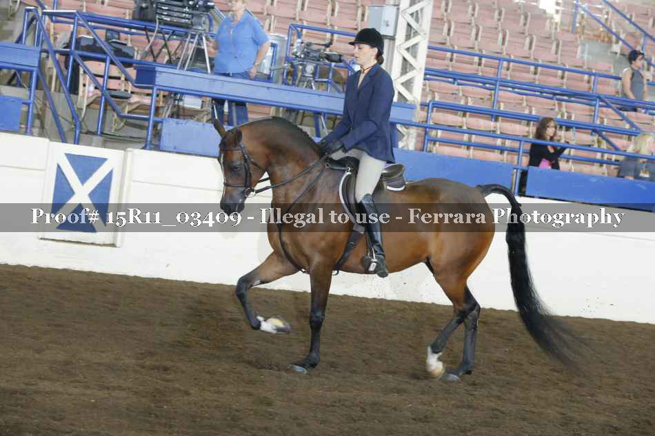 Proof Number 15R11_03409
