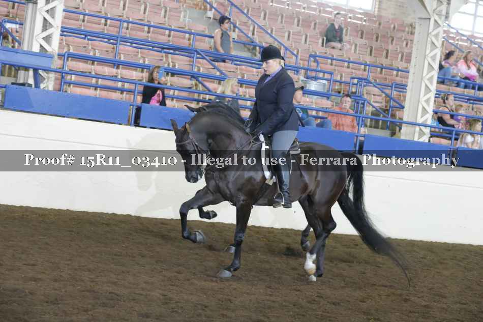 Proof Number 15R11_03410