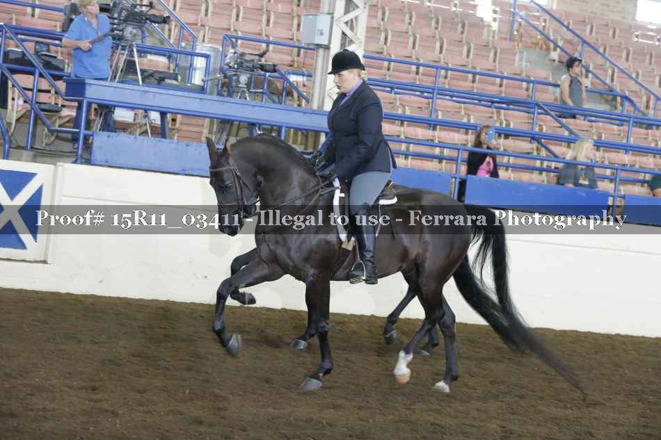 Proof Number 15R11_03411