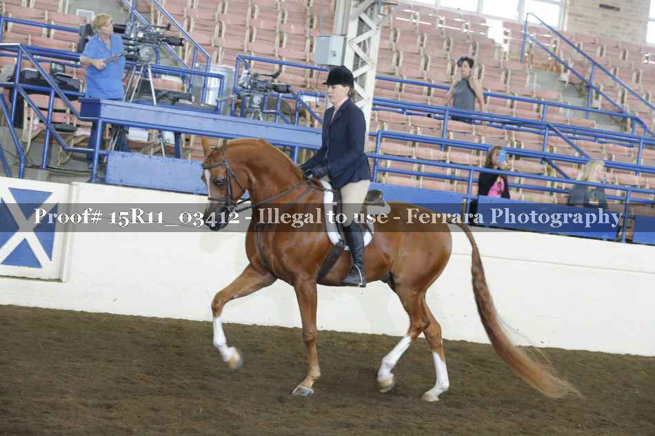 Proof Number 15R11_03412