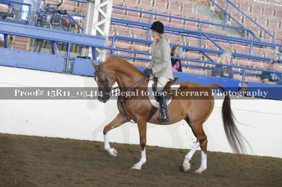 Proof Number 15R11_03414