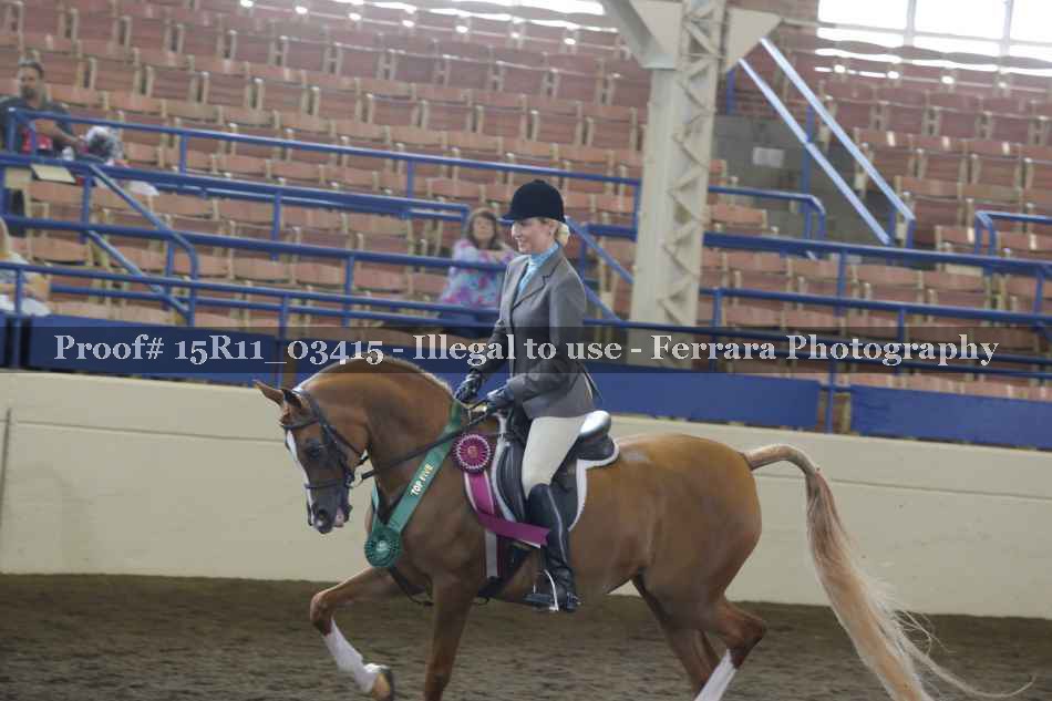 Proof Number 15R11_03415