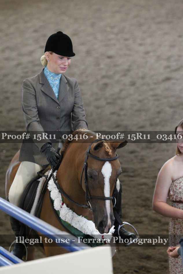 Proof Number 15R11_03416