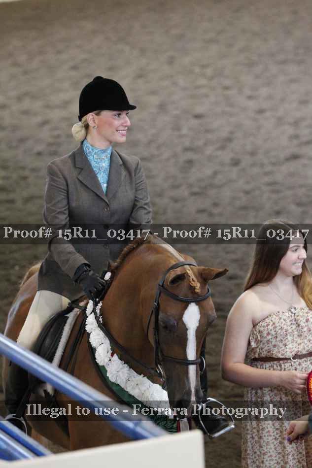 Proof Number 15R11_03417