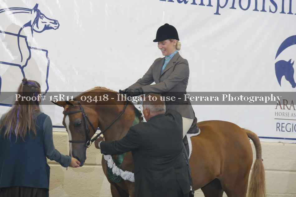 Proof Number 15R11_03418