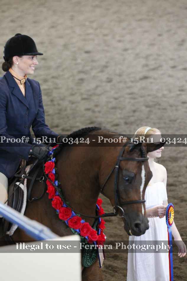Proof Number 15R11_03424