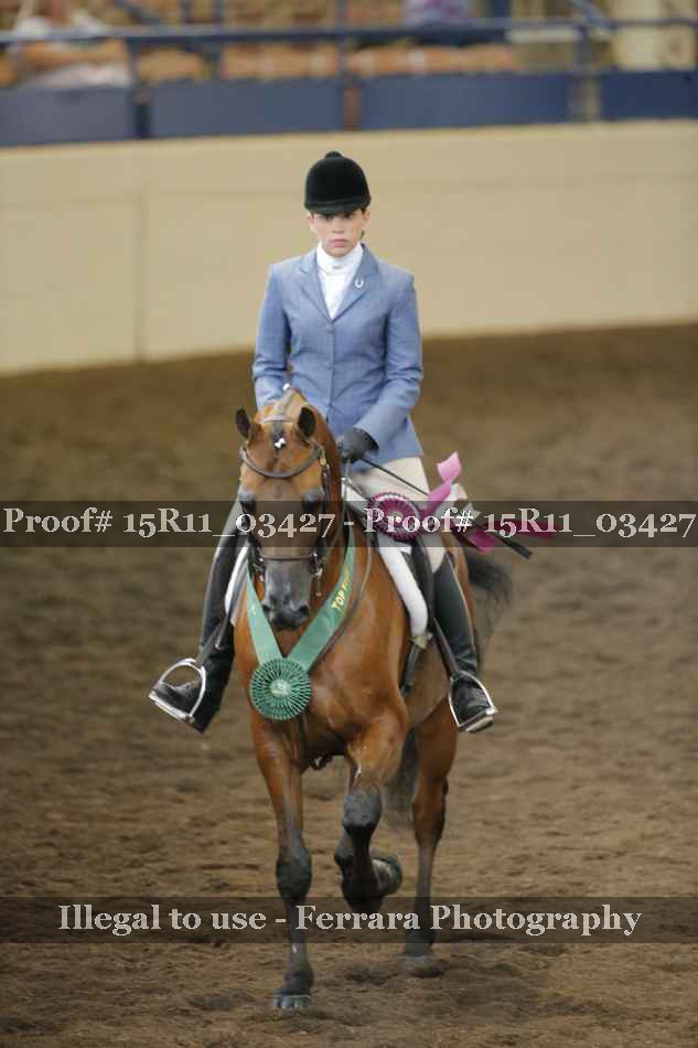 Proof Number 15R11_03427