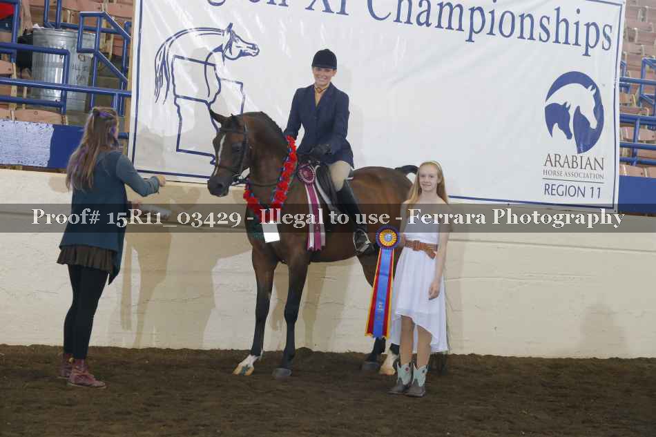 Proof Number 15R11_03429