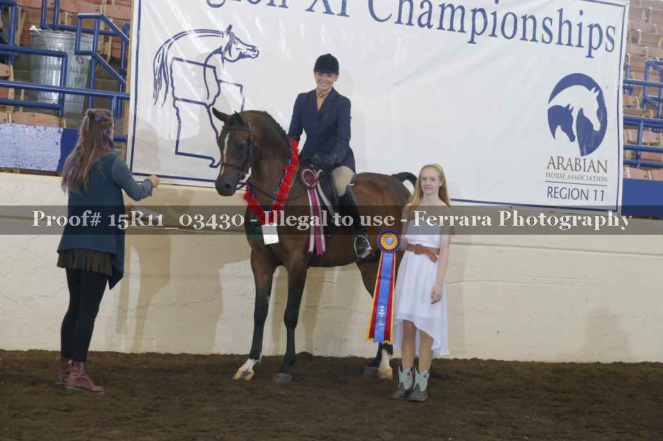 Proof Number 15R11_03430