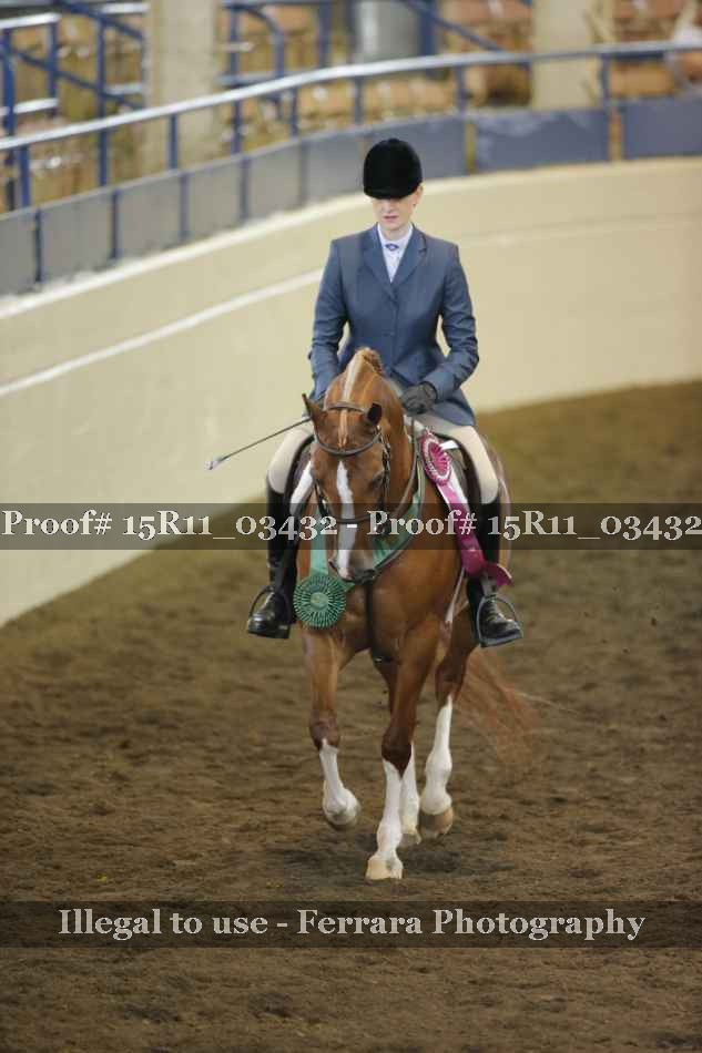 Proof Number 15R11_03432