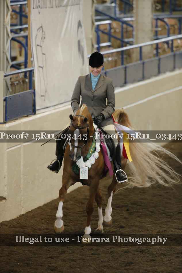 Proof Number 15R11_03443