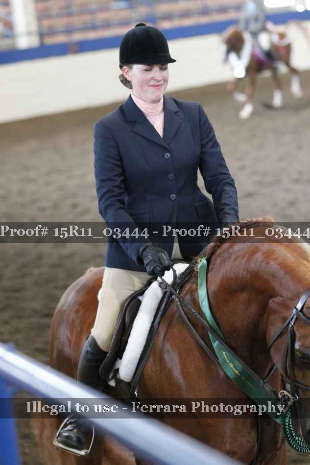 Proof Number 15R11_03444
