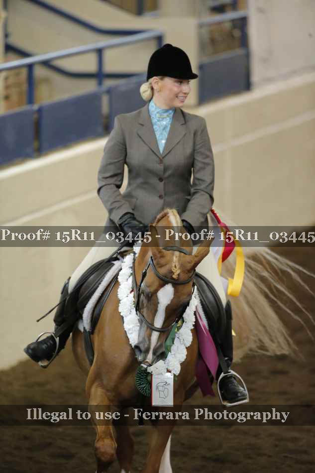 Proof Number 15R11_03445