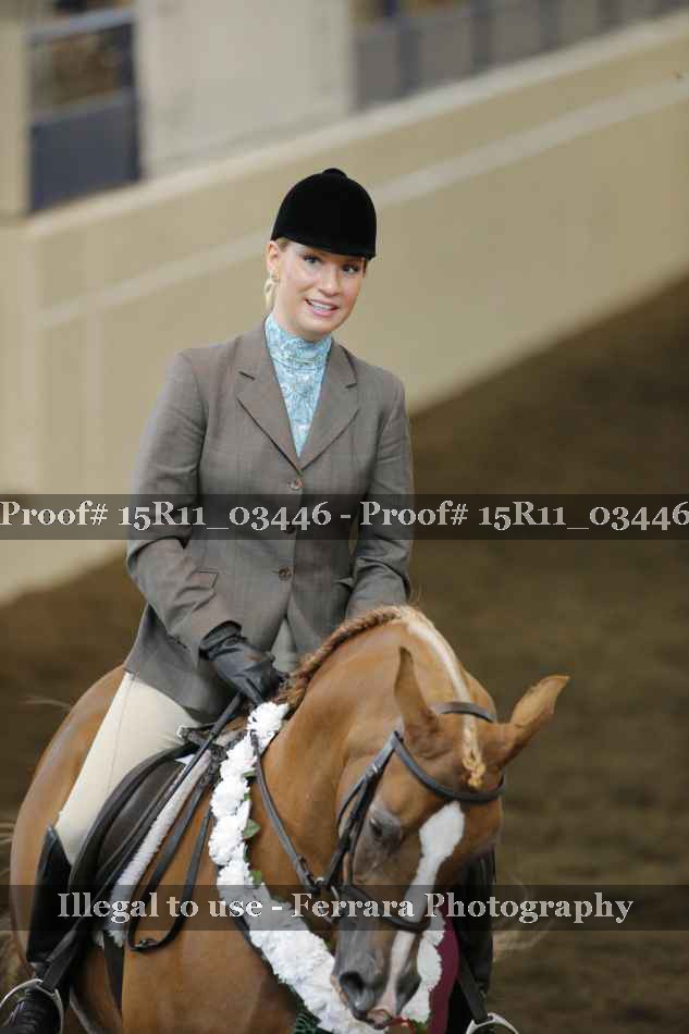Proof Number 15R11_03446