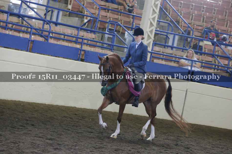 Proof Number 15R11_03447