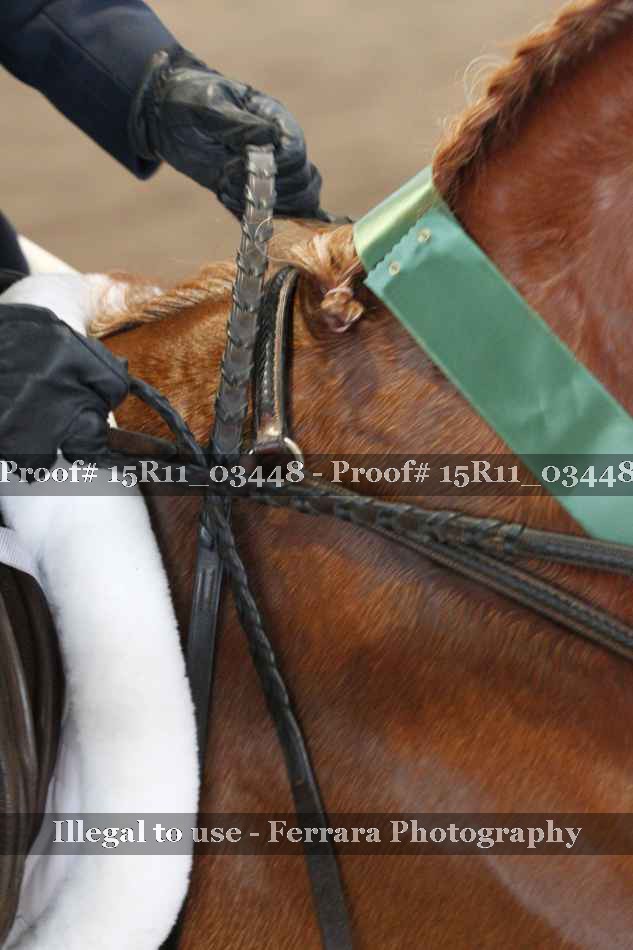 Proof Number 15R11_03448