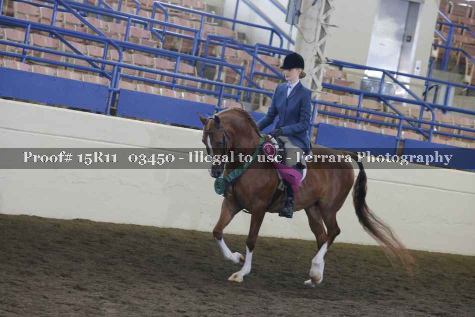 Proof Number 15R11_03450