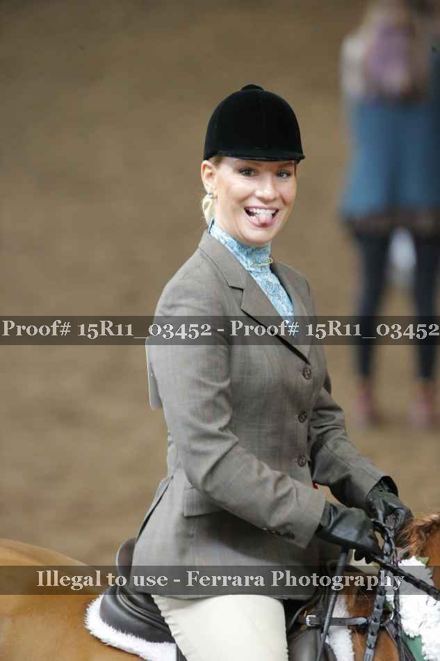 Proof Number 15R11_03452