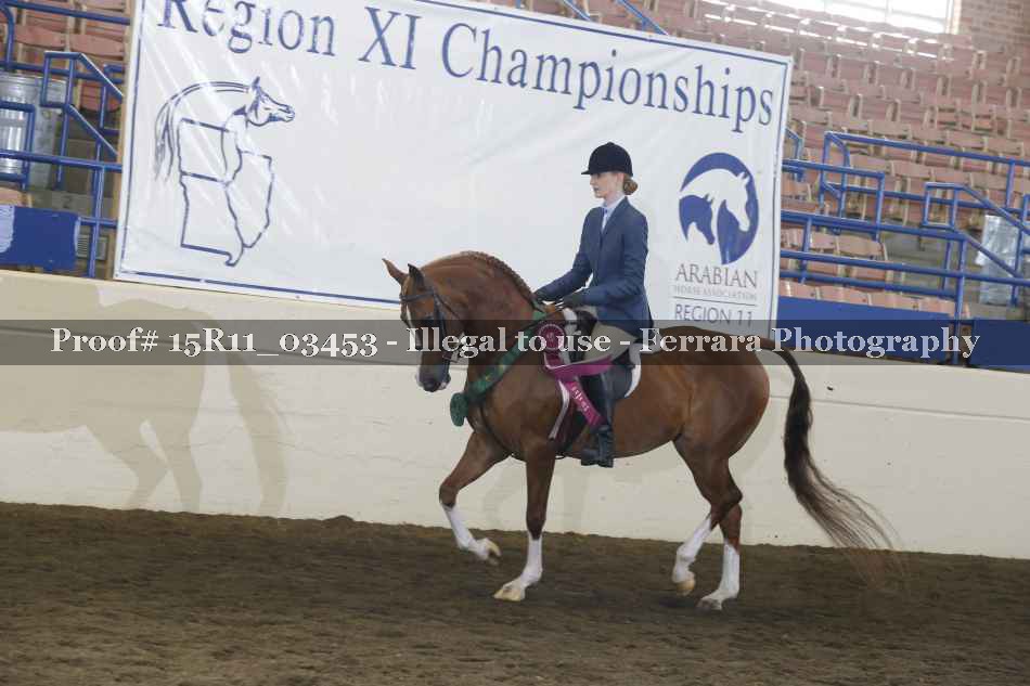 Proof Number 15R11_03453