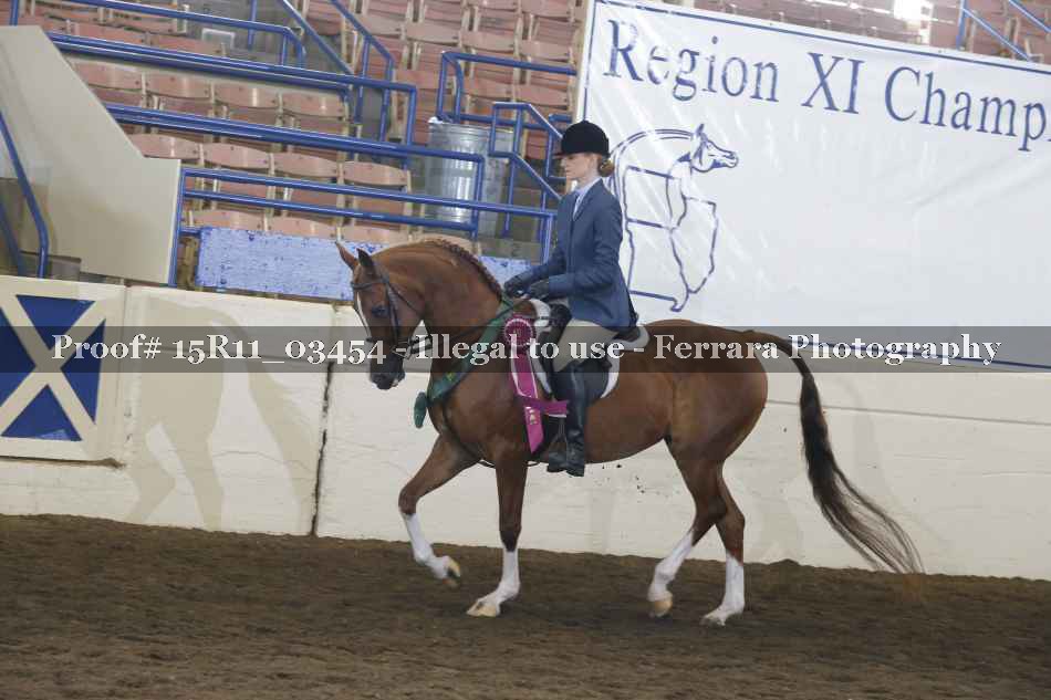 Proof Number 15R11_03454