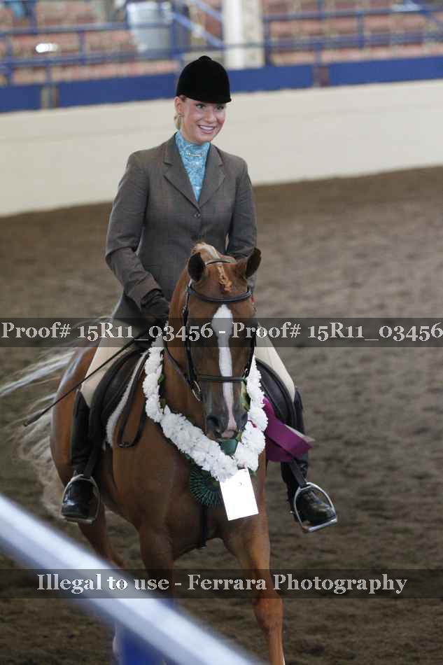 Proof Number 15R11_03456