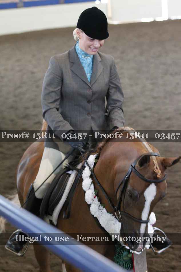 Proof Number 15R11_03457