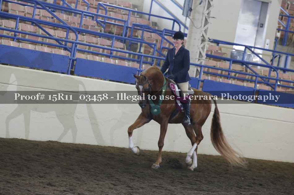 Proof Number 15R11_03458
