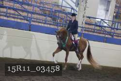15R11_03458 thumbnail