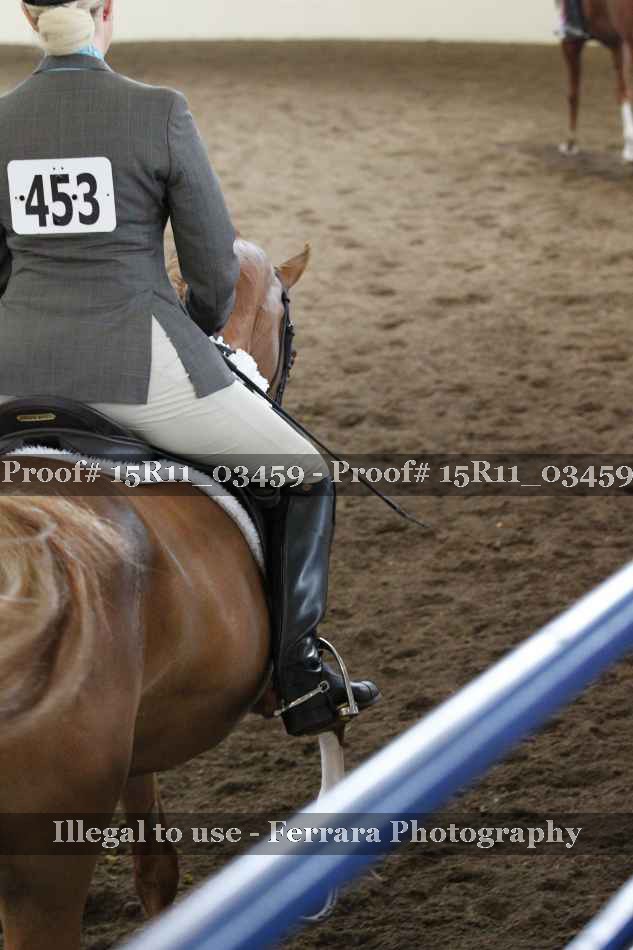 Proof Number 15R11_03459