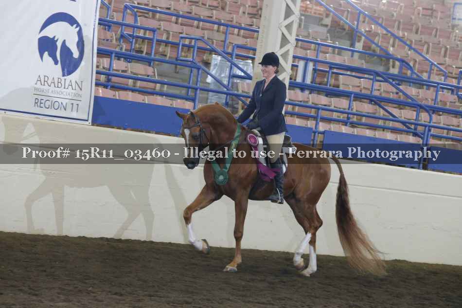 Proof Number 15R11_03460