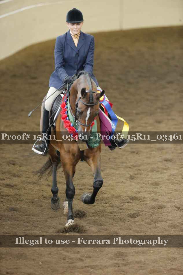 Proof Number 15R11_03461