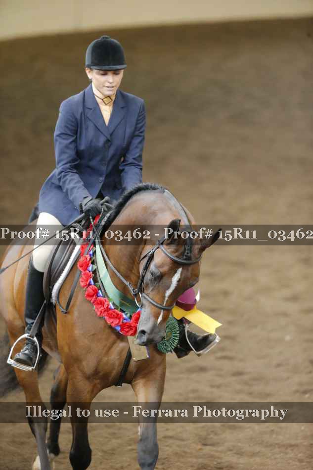 Proof Number 15R11_03462