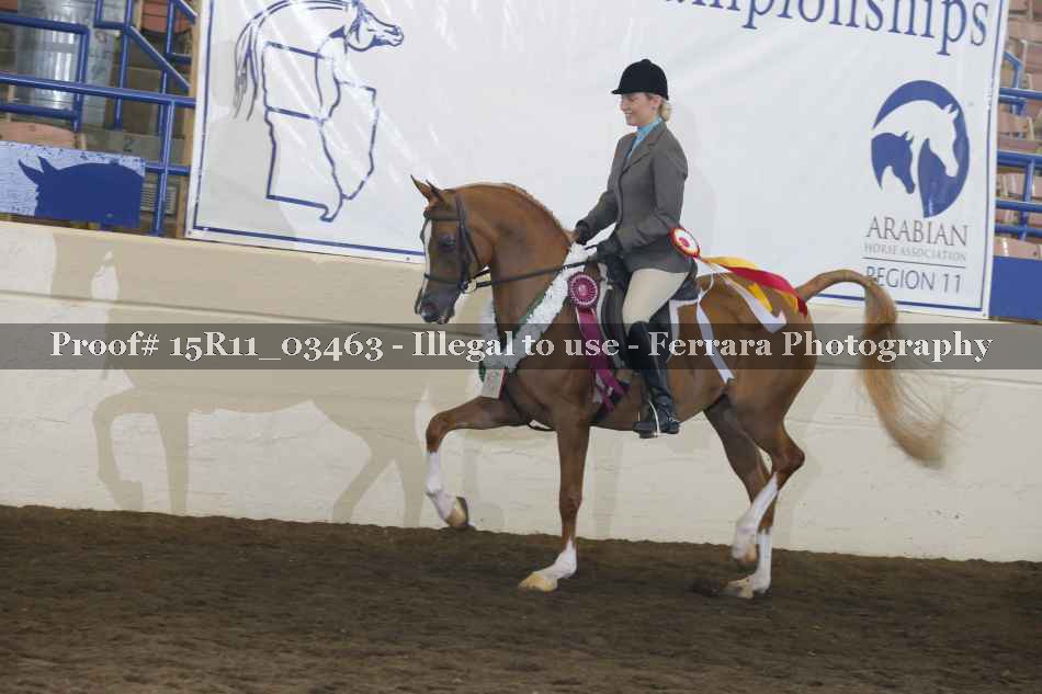 Proof Number 15R11_03463