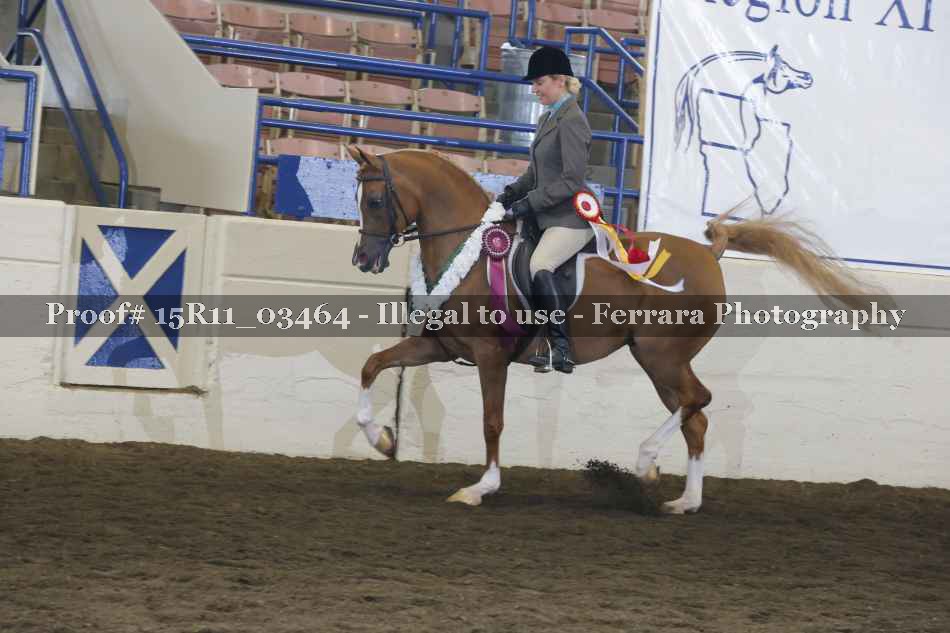 Proof Number 15R11_03464