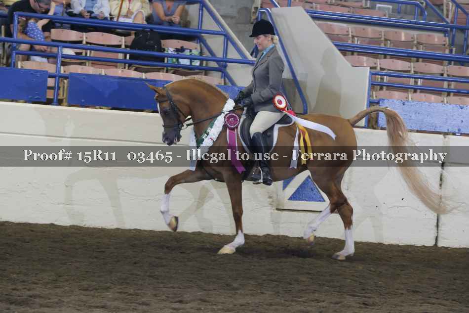 Proof Number 15R11_03465