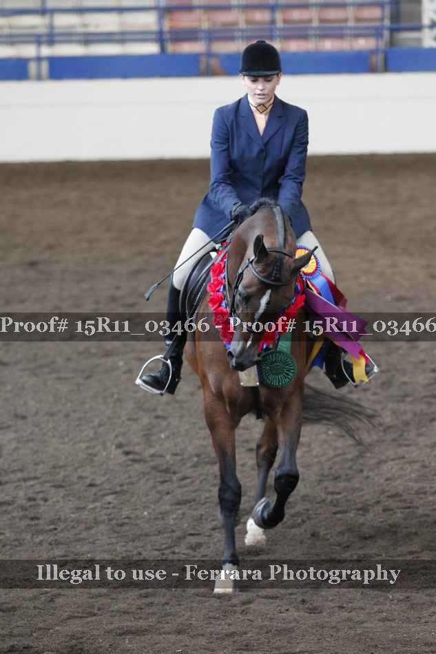 Proof Number 15R11_03466