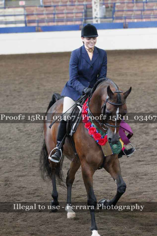 Proof Number 15R11_03467
