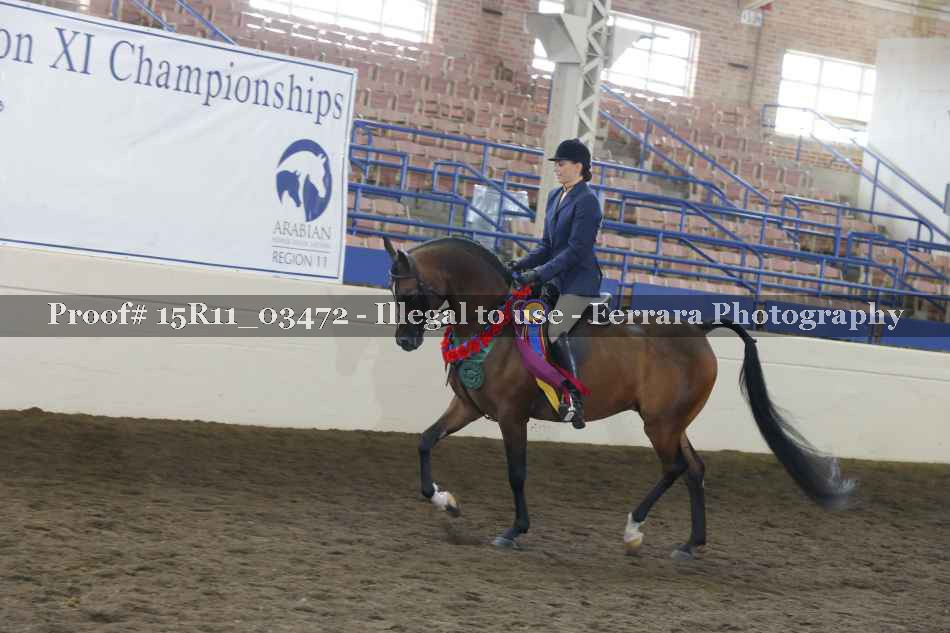 Proof Number 15R11_03472