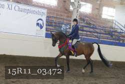 15R11_03472 thumbnail