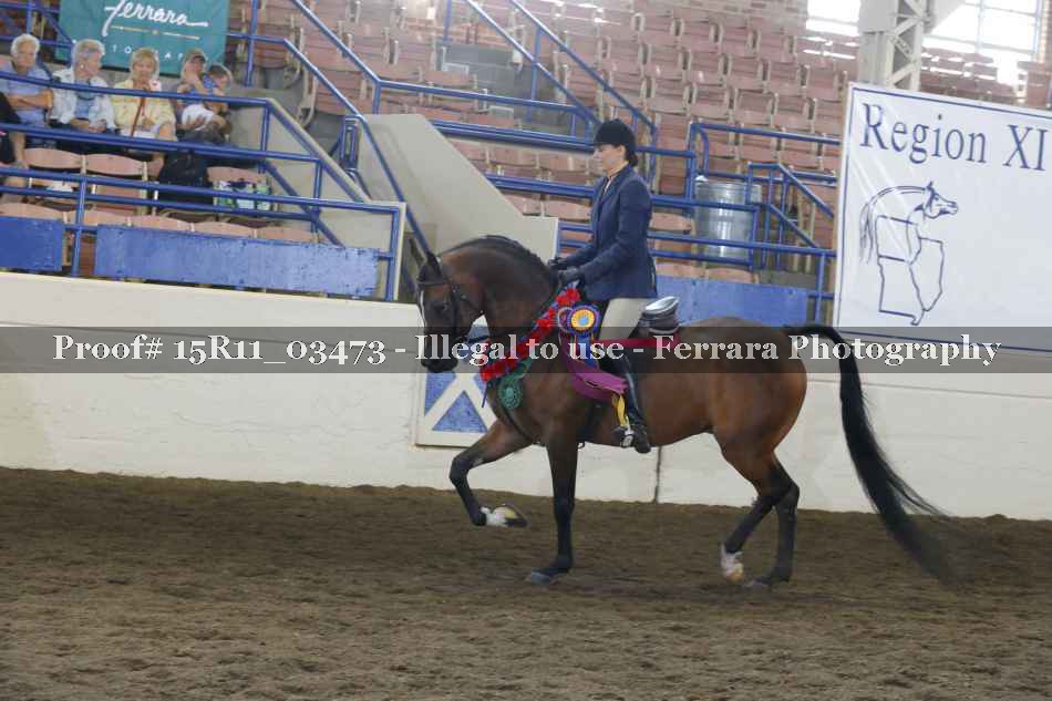 Proof Number 15R11_03473
