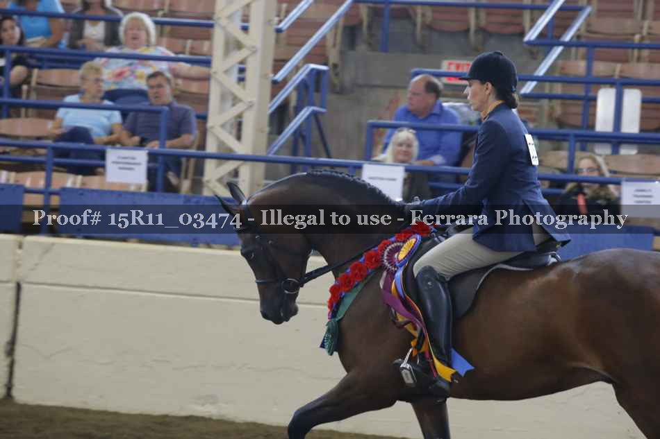 Proof Number 15R11_03474